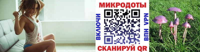 где купить   Северодвинск  Псилоцибиновые грибы Psilocybe 