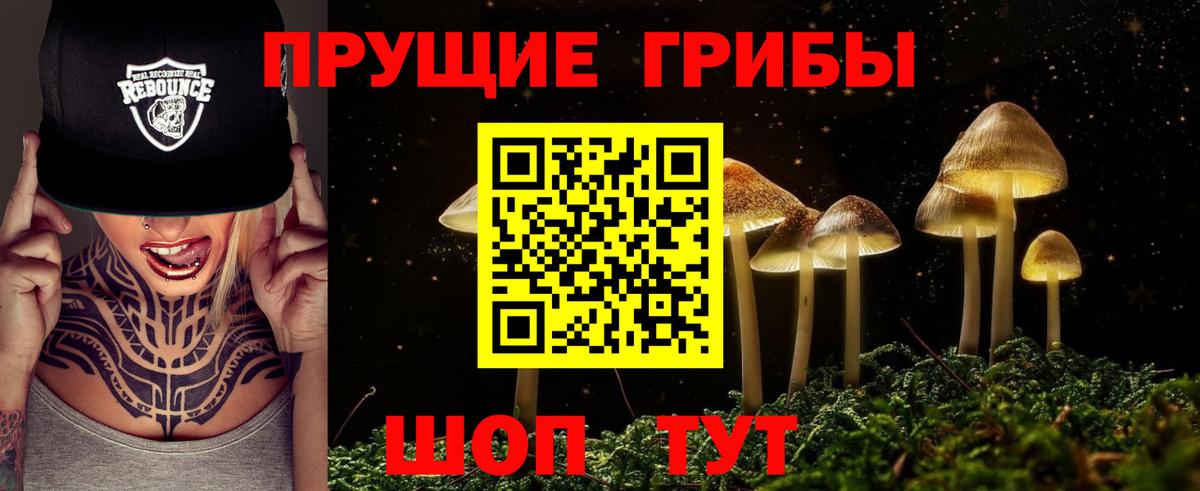 Галлюциногенные грибы GOLDEN TEACHER  наркотики  Северодвинск  Вход с VPN 