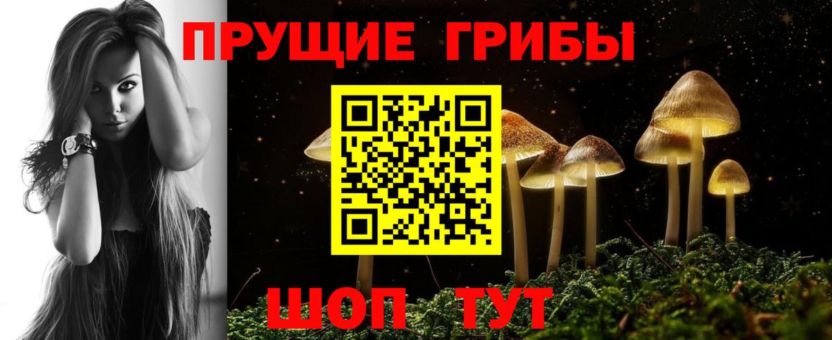 Ешки  Северодвинск  Меф  Бошки Шишки  Ляпка  ГАШИШ  МДМА  КОКАИН  Бошки Шишки  ГЕРОИН  Вход с VPN 